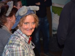 Aschenputtel 2014